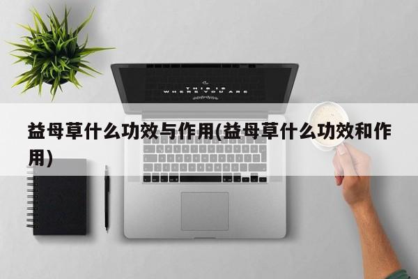 益母草什么功效与作用(益母草什么功效和作用)