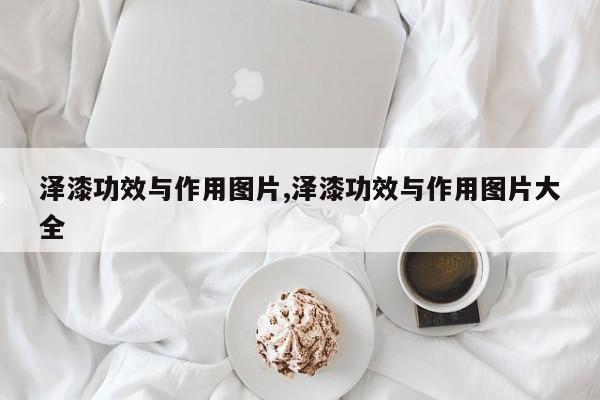 泽漆功效与作用图片,泽漆功效与作用图片大全 第1张