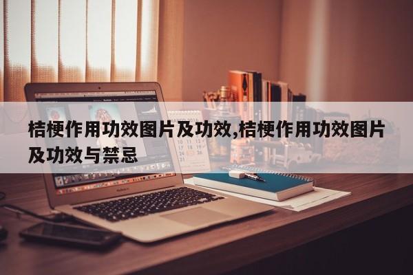 桔梗作用功效图片及功效,桔梗作用功效图片及功效与禁忌 第1张