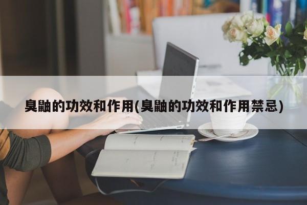 臭鼬的功效和作用(臭鼬的功效和作用禁忌) 第1张