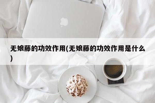 无娘藤的功效作用(无娘藤的功效作用是什么) 第1张