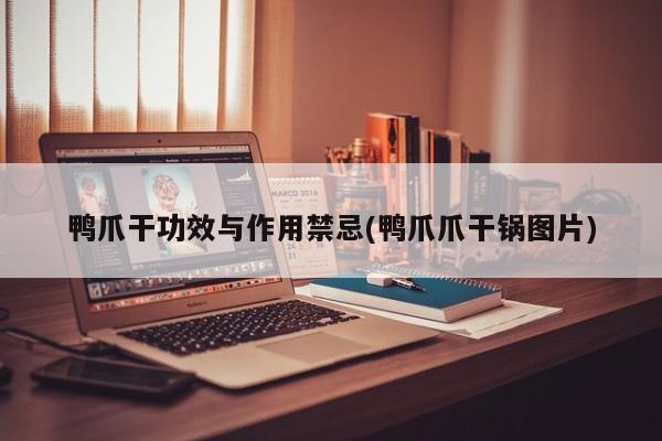 鸭爪干功效与作用禁忌(鸭爪爪干锅图片) 第1张