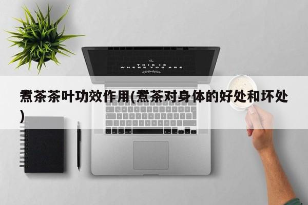 煮茶茶叶功效作用(煮茶对身体的好处和坏处) 第1张