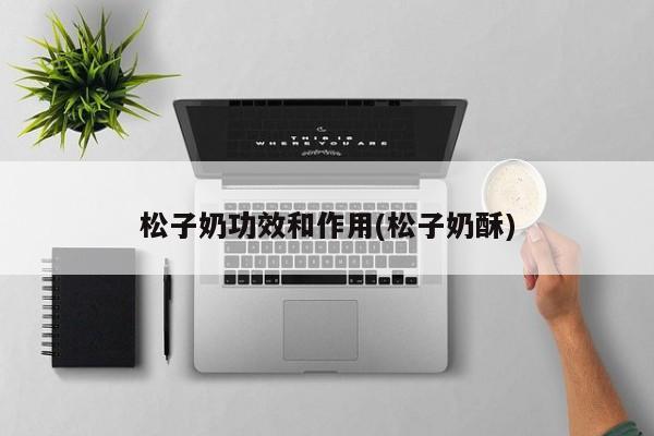 松子奶功效和作用(松子奶酥)