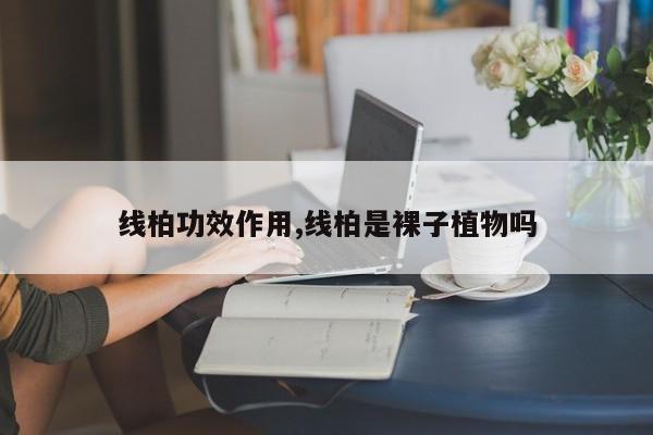 线柏功效作用,线柏是裸子植物吗