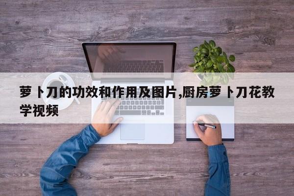 萝卜刀的功效和作用及图片,厨房萝卜刀花教学视频
