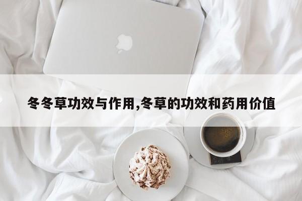 冬冬草功效与作用,冬草的功效和药用价值 第1张