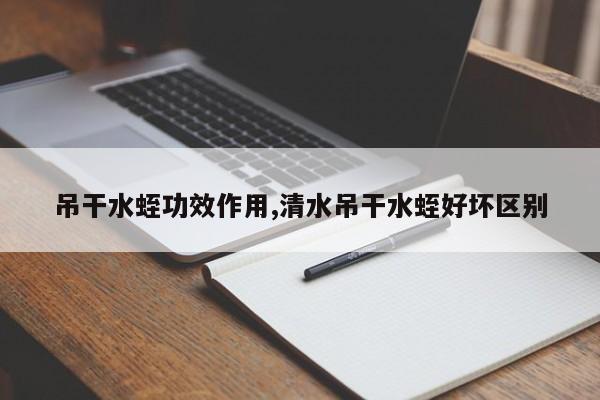吊干水蛭功效作用,清水吊干水蛭好坏区别