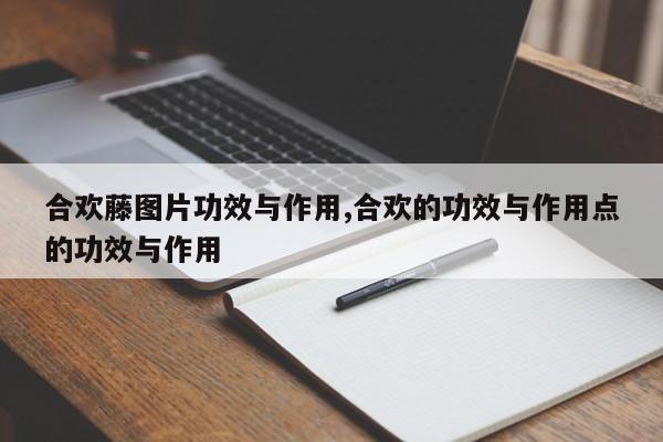 合欢藤图片功效与作用,合欢的功效与作用点的功效与作用