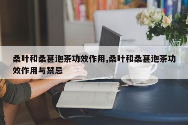 桑叶和桑葚泡茶功效作用,桑叶和桑葚泡茶功效作用与禁忌